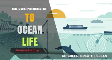 Ocean Noise Pollution: A Deadly, Unseen Threat