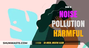 Noise Pollution: Its Harmful Effects and Impact