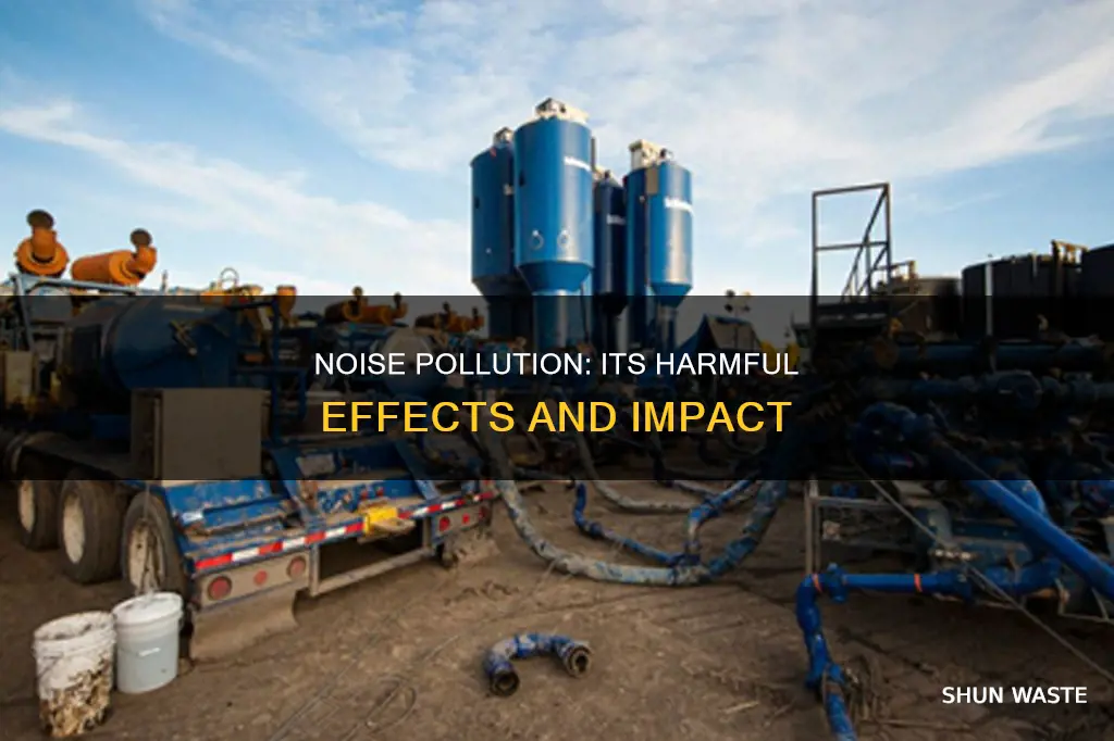 how is noise pollution harmful