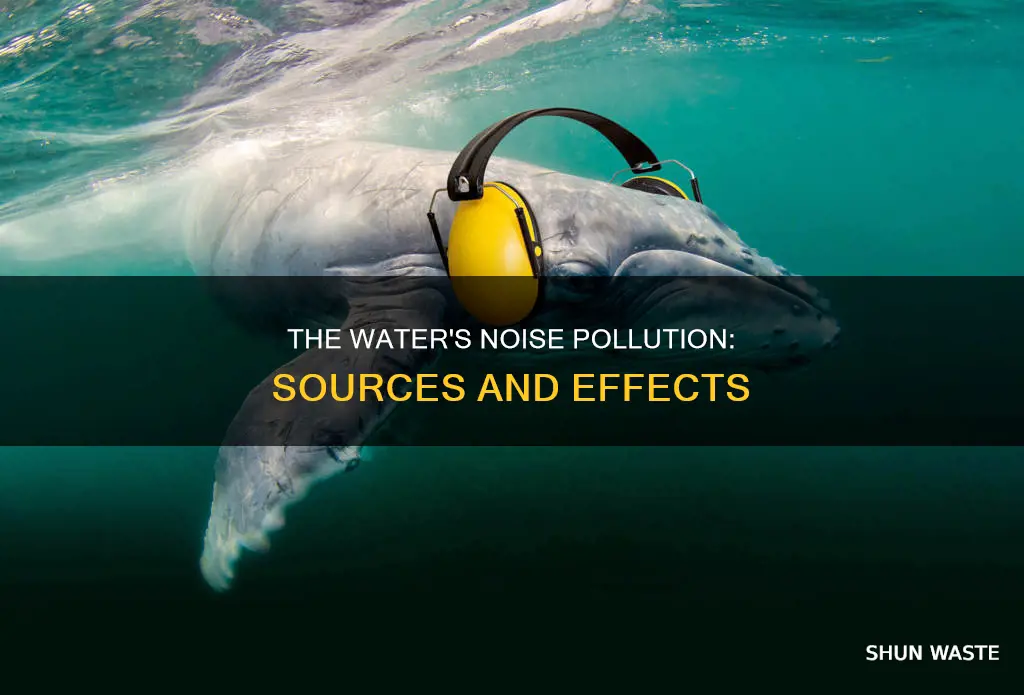 how is noise pollution put into water