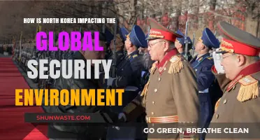 North Korea's Provocations: Escalating Tensions and Global Security Implications