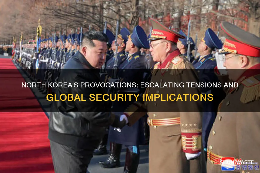 how is north korea impacting the global security environment