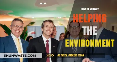 Norway's Green Leadership: Innovative Environmental Initiatives and Global Impact