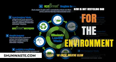 Skipping Recycling: The Devastating Environmental Consequences We Can’t Ignore