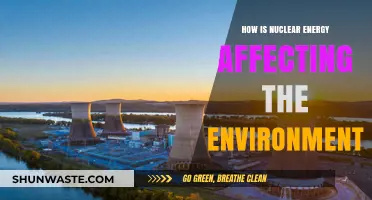 Nuclear Energy's Environmental Impact: Benefits, Risks, and Future Implications
