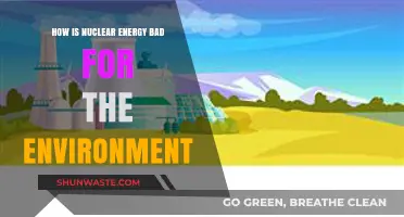 Nuclear Energy's Environmental Impact: Risks, Waste, and Long-Term Consequences