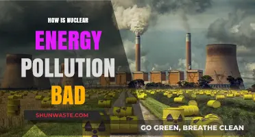 Nuclear Energy's Dark Side: Pollution and its Perils