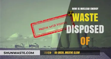 Safe Disposal of Nuclear Waste: Methods, Challenges, and Environmental Impact