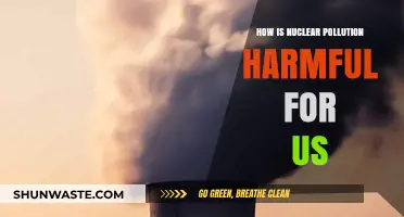 Nuclear Pollution: Its Harmful Effects and Our Health