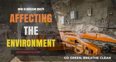 Nuclear Waste's Environmental Impact: Threats, Challenges, and Solutions Explored