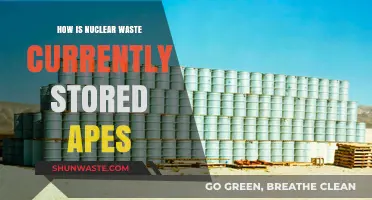 Current Nuclear Waste Storage Methods and Their Environmental Impact