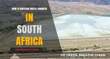 South Africa's Nuclear Waste Management: Processes, Safety, and Environmental Impact