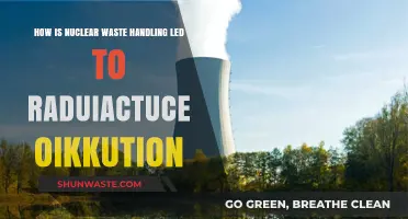 Nuclear Waste Handling: Causes and Consequences of Radioactive Pollution
