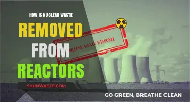 Safely Removing Nuclear Waste from Reactors: Processes and Challenges