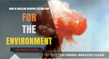 Nuclear Testing's Devastating Environmental Impact: Pollution, Radiation, and Long-Term Damage