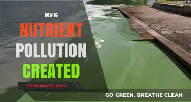 Nutrient Pollution: Sources and Causes Explained