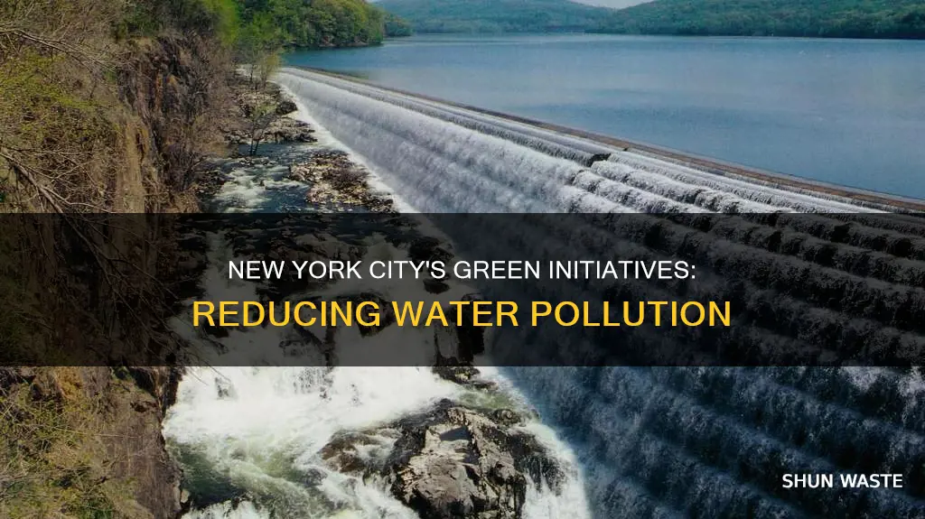 how is nyc working to decrease water pollution