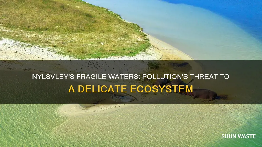 how is nylsvley water quality threatened by pollution