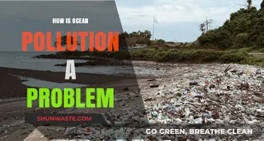 Ocean Pollution: A Global Crisis