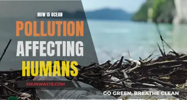 Ocean Pollution: Harming Humans, Devastating Our Health