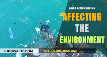 Ocean Pollution's Devastating Impact on Marine Ecosystems and Our Planet
