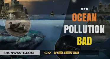 Ocean Pollution: A Deadly Threat to Marine Life