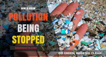 Battling Ocean Pollution: Strategies and Initiatives