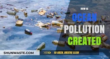 The Dark Truth of Ocean Pollution