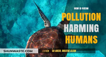 Ocean Pollution: Harming Humans, Devastating Our Planet