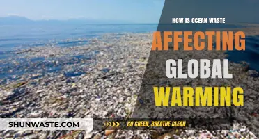 Ocean Waste's Role in Accelerating Global Warming: A Critical Analysis