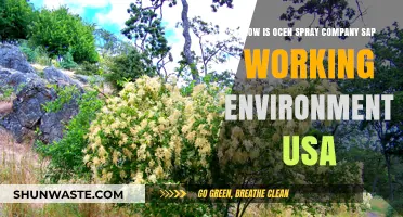 Ocean Spray's SAP Implementation: Transforming USA Work Environments