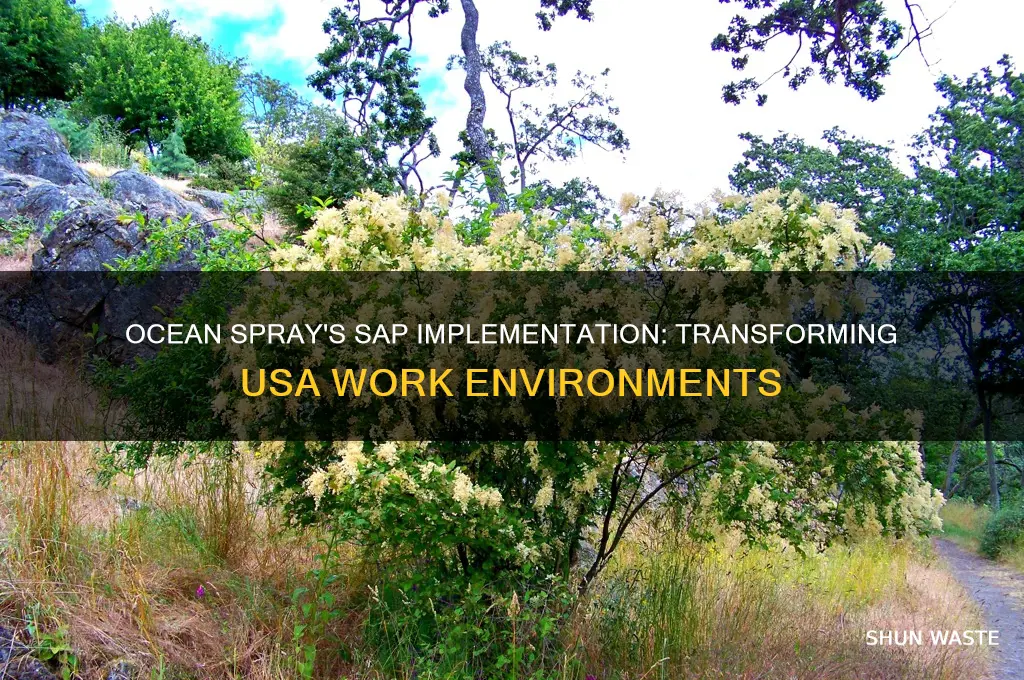 how is ocen spray company sap working environment usa