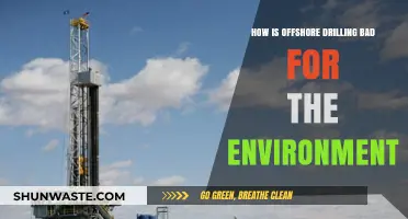 Offshore Drilling's Devastating Environmental Impact: Pollution, Wildlife, and Climate Crisis