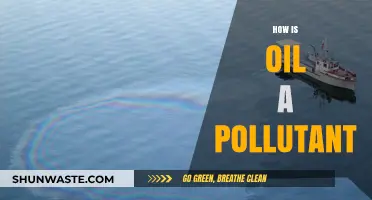 Oil Pollution: A Complex Environmental Threat