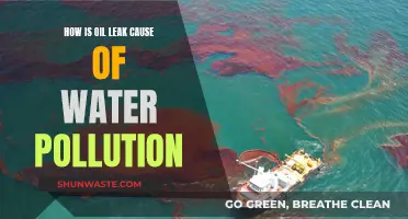 Oil Leaks: A Toxic Threat to Our Waterways