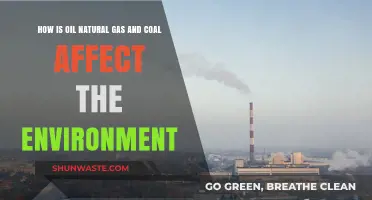 Fossil Fuels' Environmental Impact: Oil, Gas, and Coal's Role