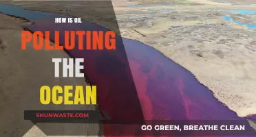 Oil's Ocean Pollution: A Global Crisis