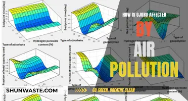 Air Pollution's Impact on Ojoro's Health and Environment