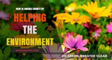 Oneida County NY's Green Initiatives: Protecting Our Environment for a Sustainable Future