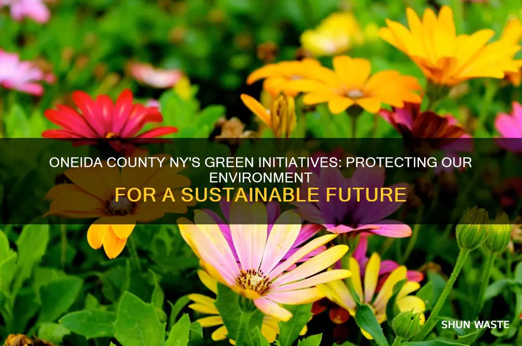 how is oneida county ny helping the environment