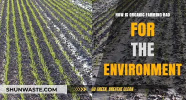 Organic Farming's Hidden Environmental Costs: Myths vs. Realities