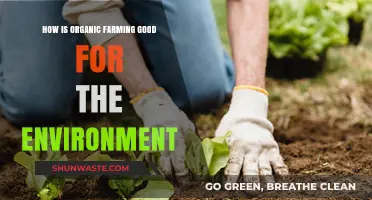Organic Farming: A Sustainable Solution for Environmental Health and Renewal