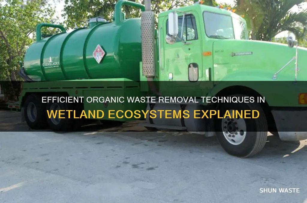 how is organic waste removed from wetlands