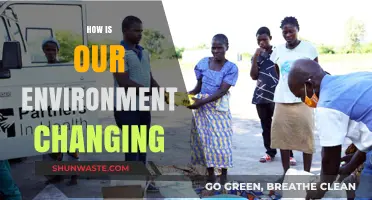 How Our Environment is Changing: Impacts, Causes, and Solutions