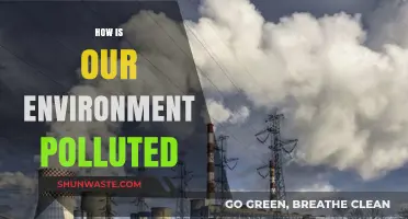 Human Impact: Environmental Pollution