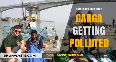 Holy Ganga: Polluted and Plundered