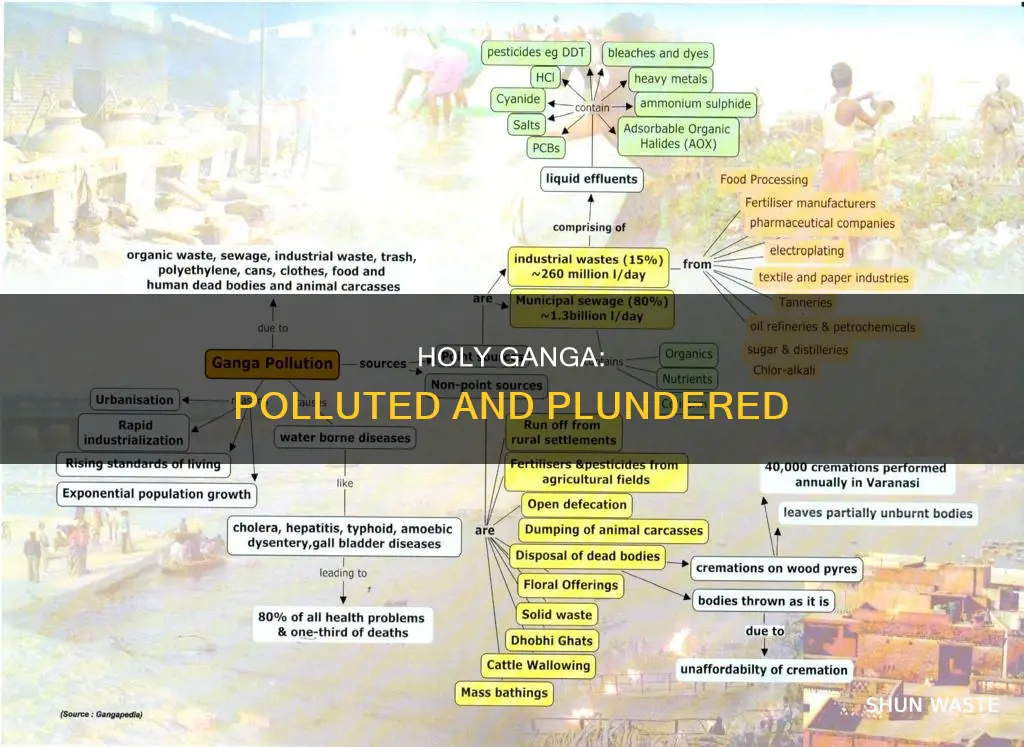 how is our holy river ganga getting polluted
