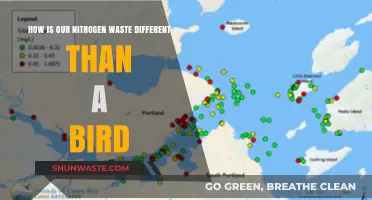 Nitrogen Waste in Humans vs. Birds: Key Differences Explained
