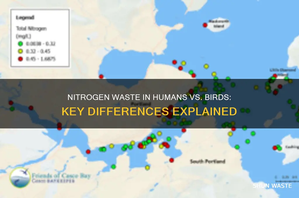 how is our nitrogen waste different than a bird