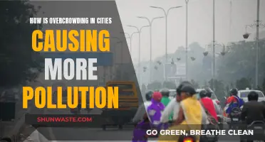 Urban Overcrowding: A Recipe for Environmental Disaster